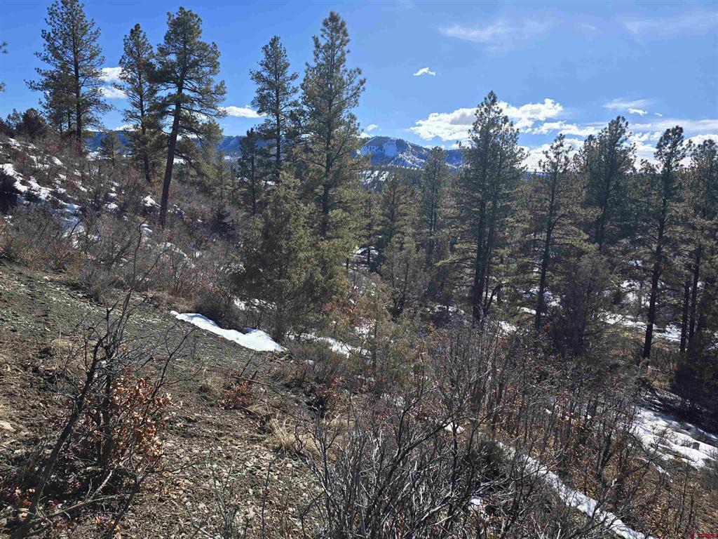 492 Circle Drive Pagosa Springs CO 81147