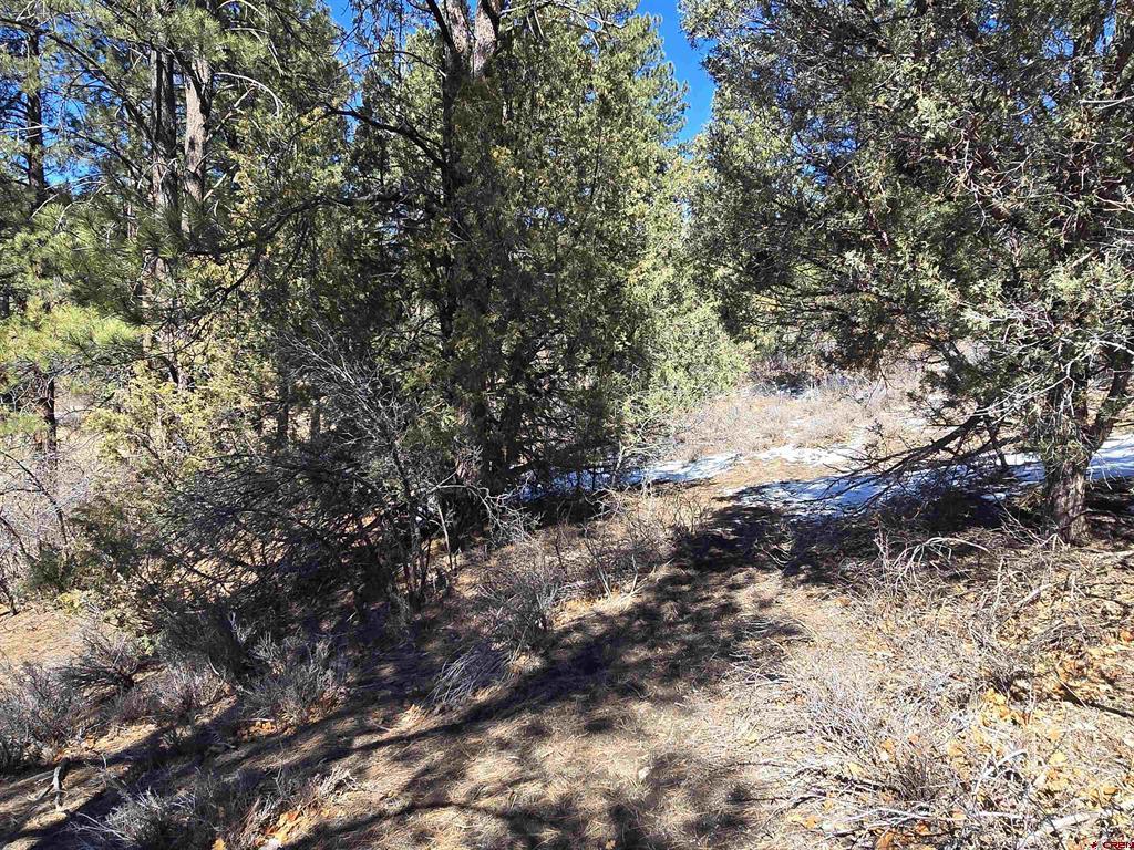 492 Circle Drive Pagosa Springs CO 81147