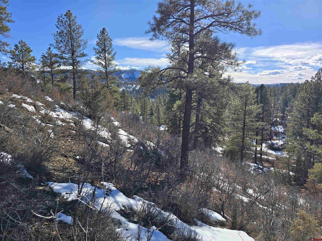 492 Circle Drive Pagosa Springs CO 81147