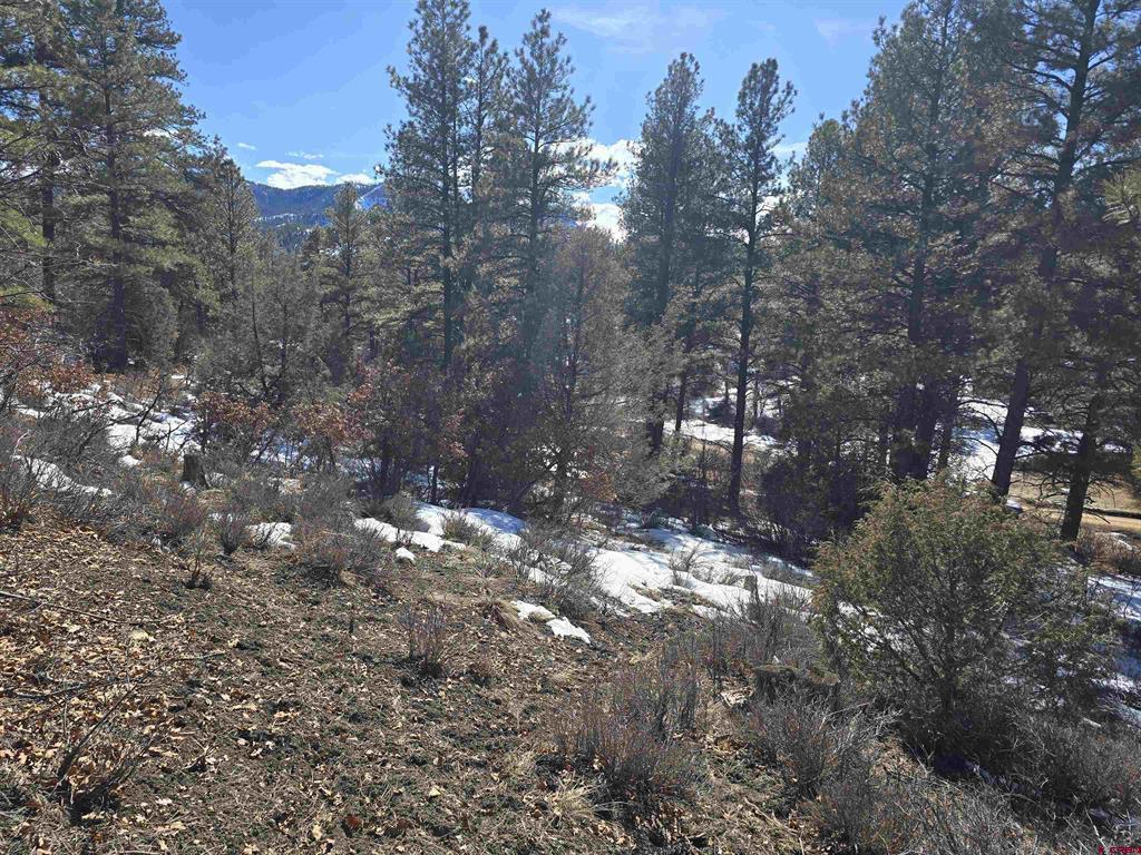 492 Circle Drive Pagosa Springs CO 81147