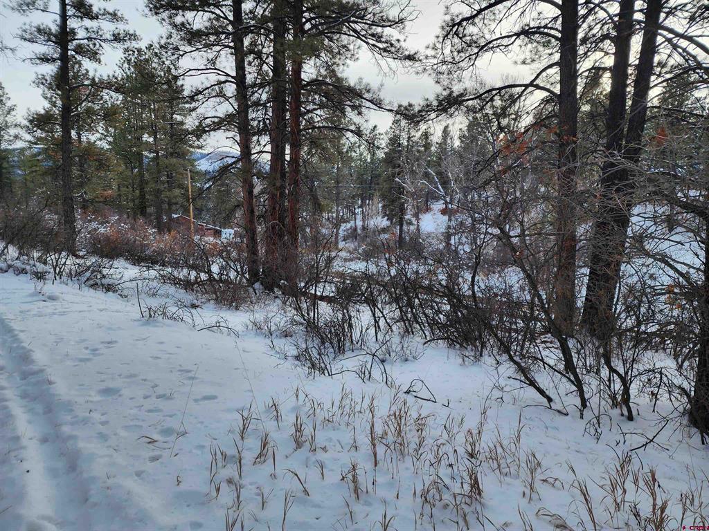492 Circle Drive Pagosa Springs CO 81147