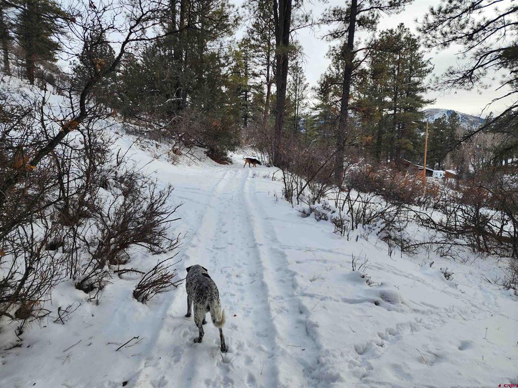 492 Circle Drive Pagosa Springs CO 81147