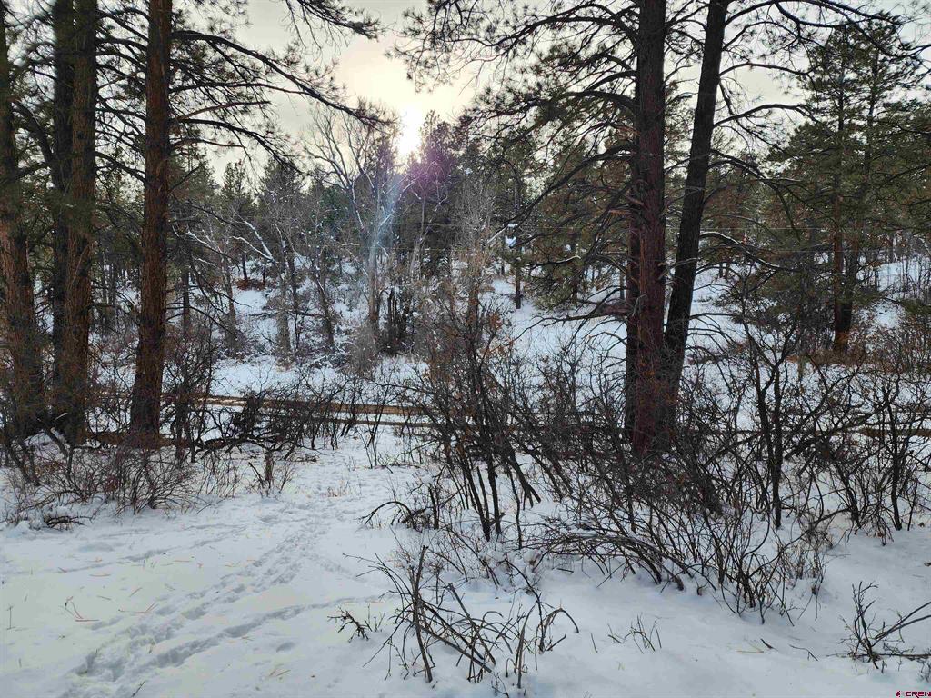 492 Circle Drive Pagosa Springs CO 81147