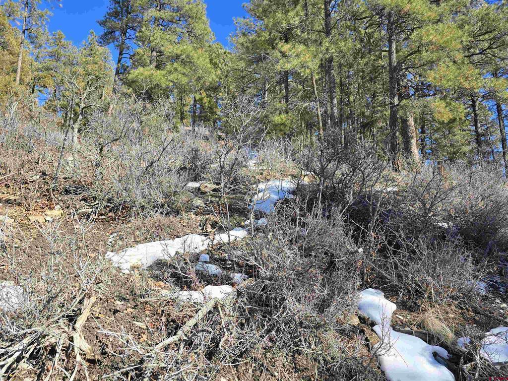 492 Circle Drive Pagosa Springs CO 81147