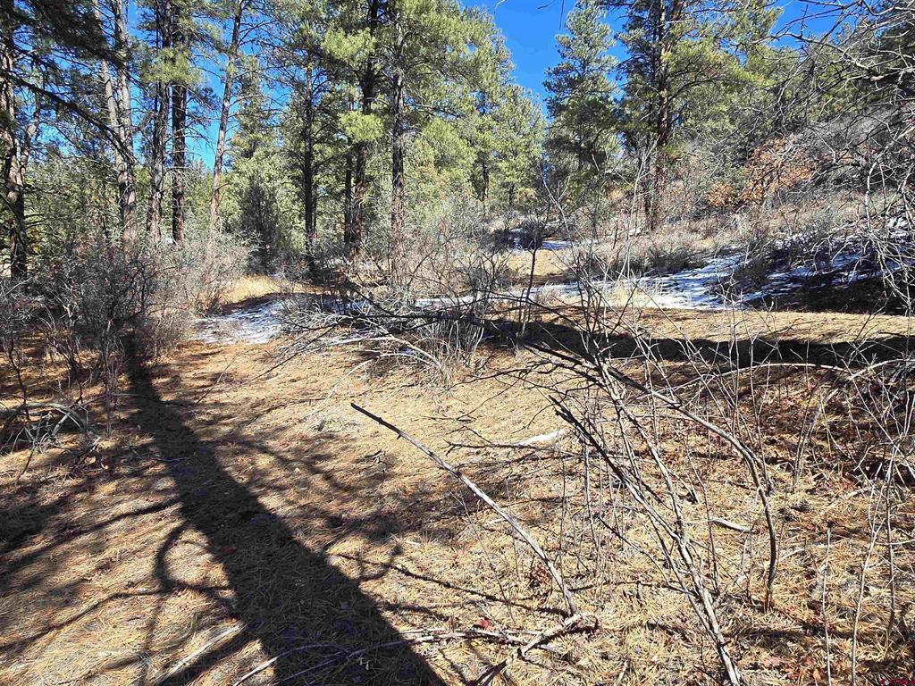 492 Circle Drive Pagosa Springs CO 81147