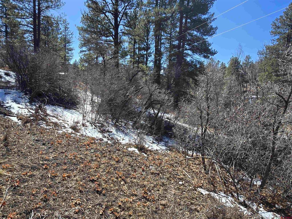 492 Circle Drive Pagosa Springs CO 81147