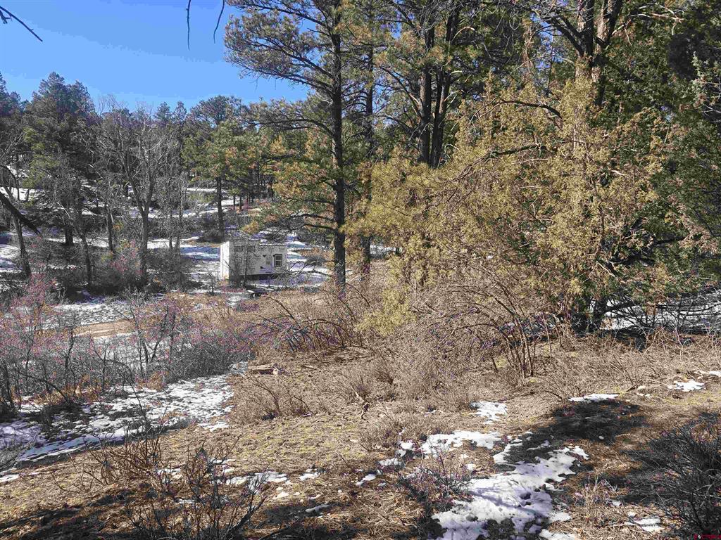 492 Circle Drive Pagosa Springs CO 81147