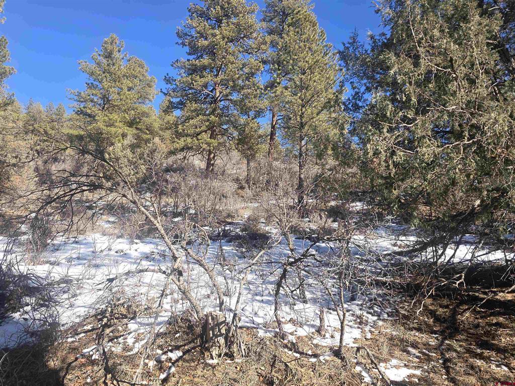 492 Circle Drive Pagosa Springs CO 81147