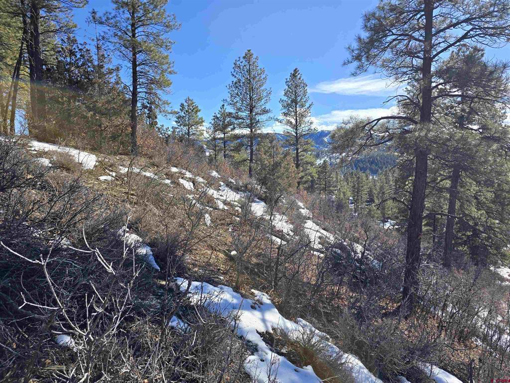 492 Circle Drive Pagosa Springs CO 81147