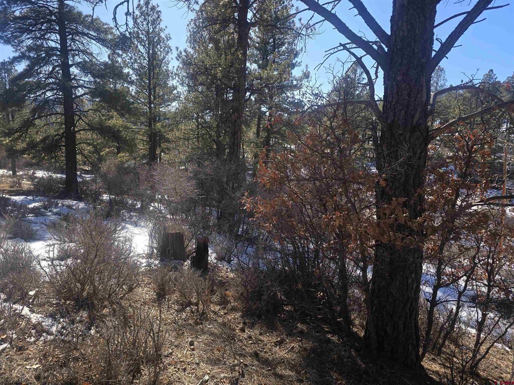 492 Circle Drive Pagosa Springs CO 81147