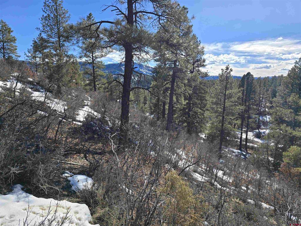 492 Circle Drive Pagosa Springs CO 81147