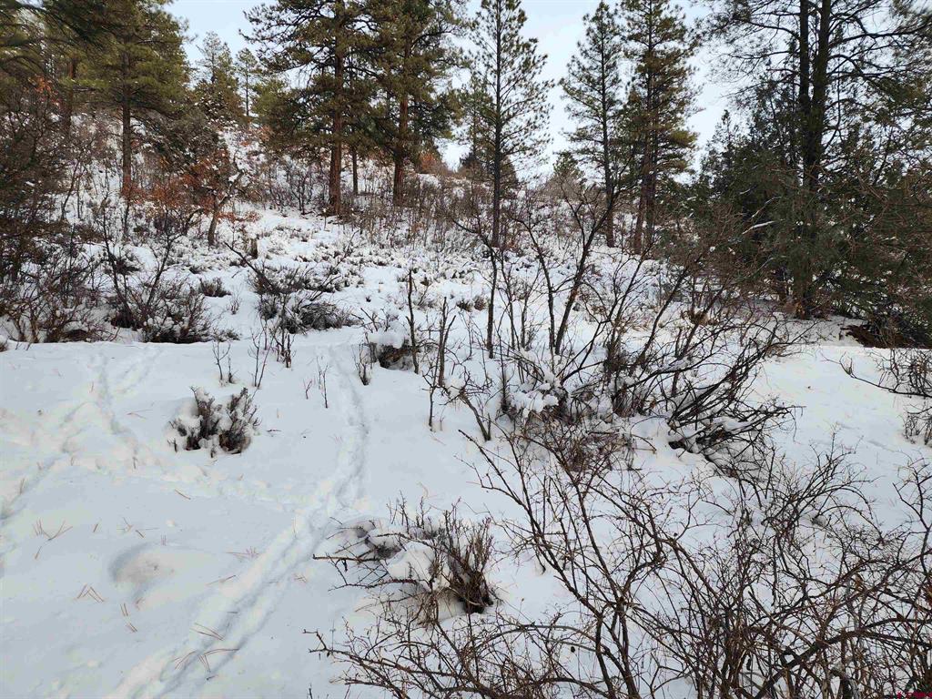 492 Circle Drive Pagosa Springs CO 81147