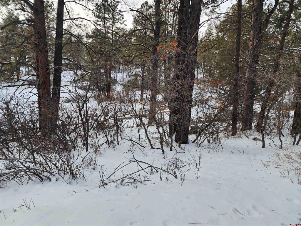 492 Circle Drive Pagosa Springs CO 81147