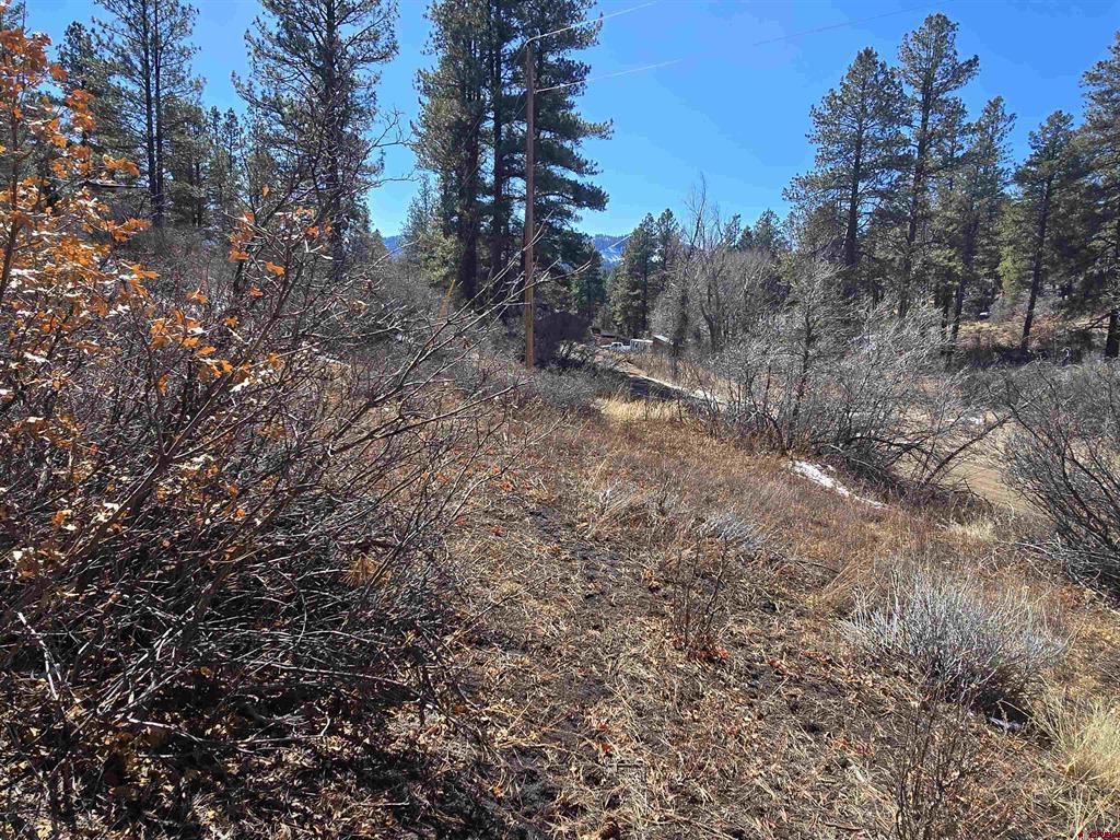 492 Circle Drive Pagosa Springs CO 81147