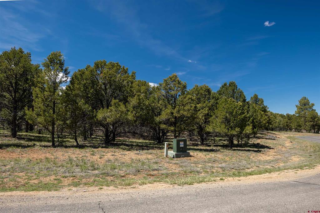 Lot 6 Waterview Court Ridgway CO 81432