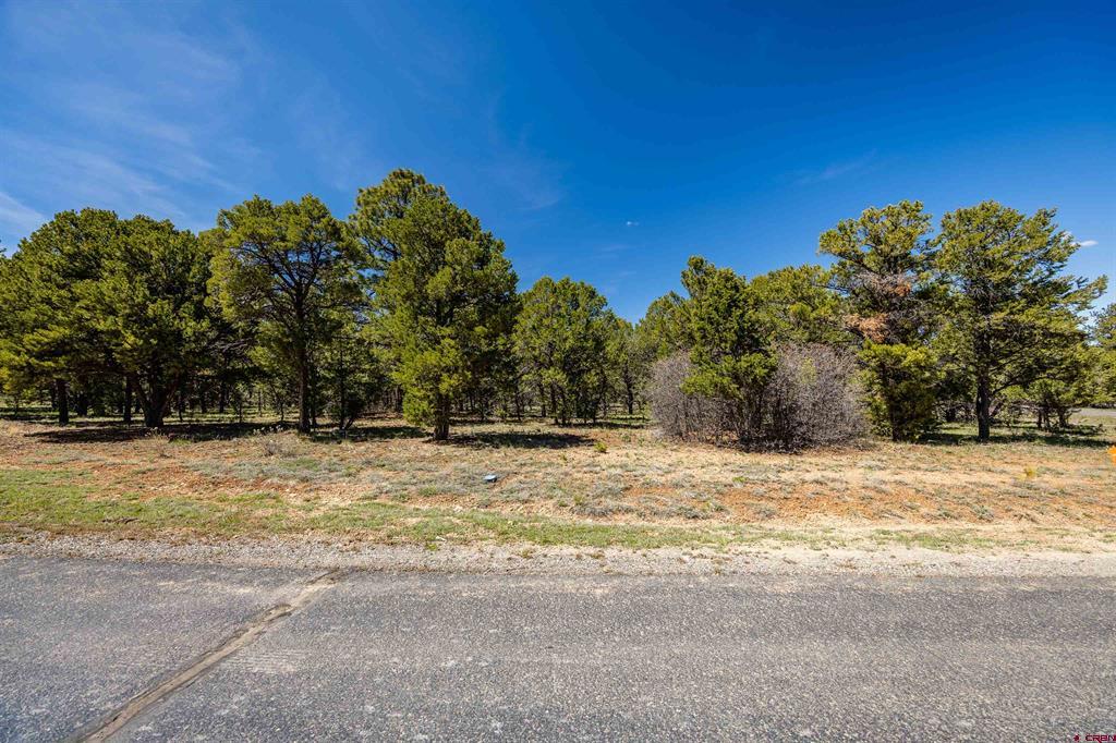 Lot 6 Waterview Court Ridgway CO 81432