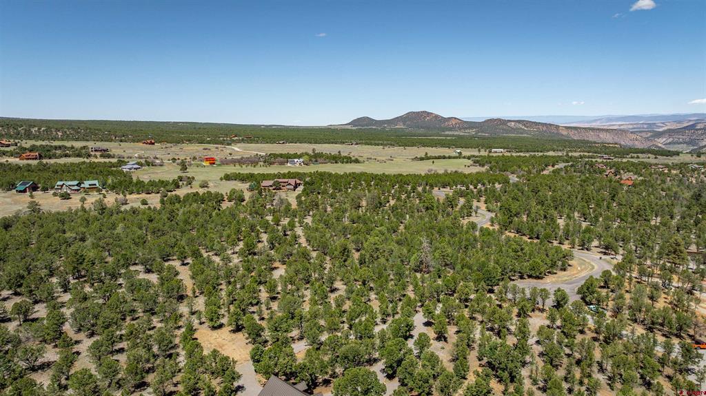 Lot 6 Waterview Court Ridgway CO 81432
