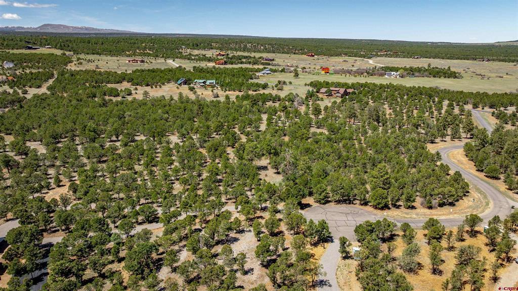 Lot 6 Waterview Court Ridgway CO 81432