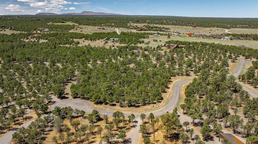 Lot 6 Waterview Court Ridgway CO 81432