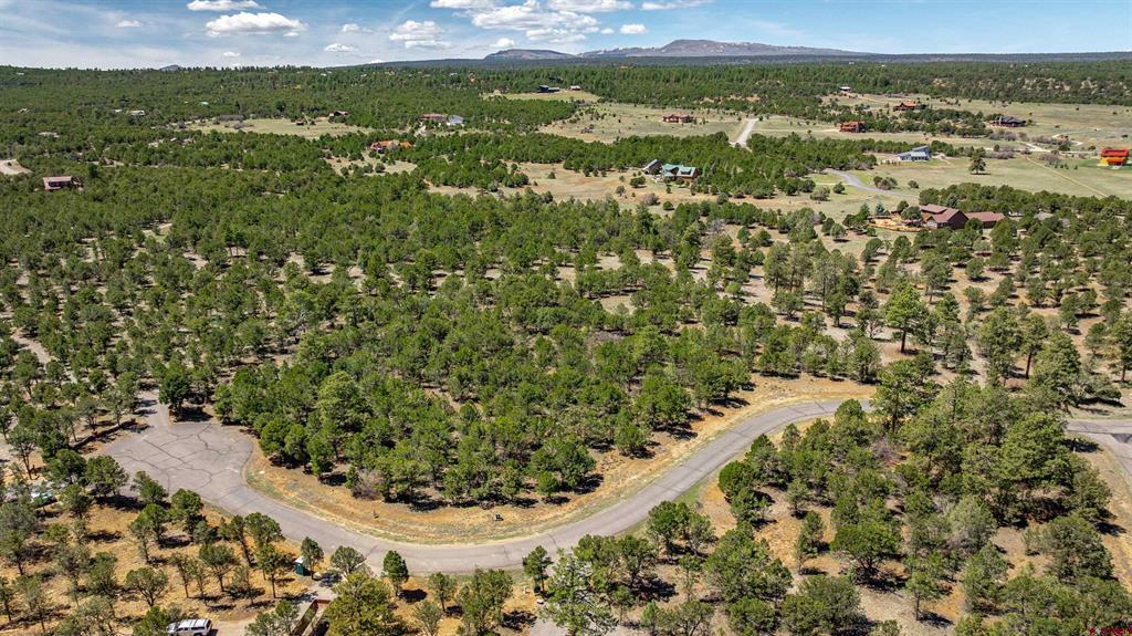 Lot 6 Waterview Court Ridgway CO 81432