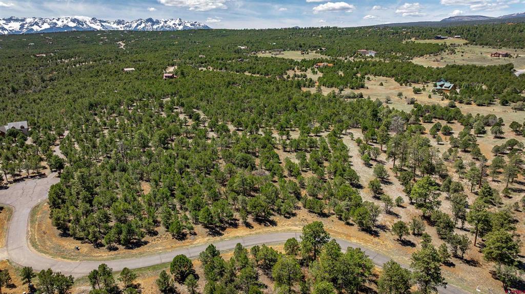 Lot 6 Waterview Court Ridgway CO 81432