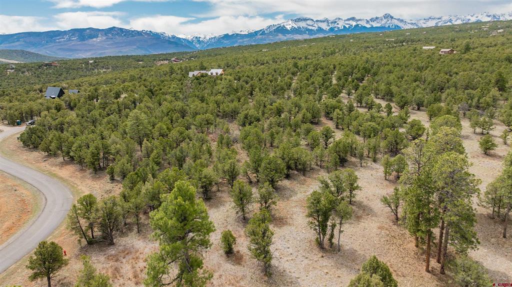 Lot 6 Waterview Court Ridgway CO 81432