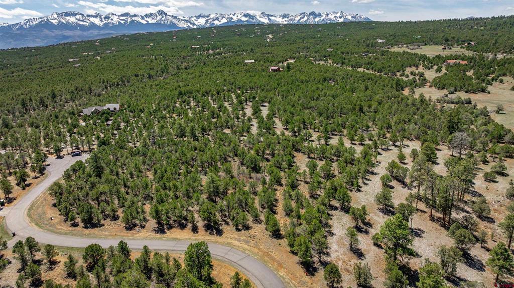 Lot 6 Waterview Court Ridgway CO 81432