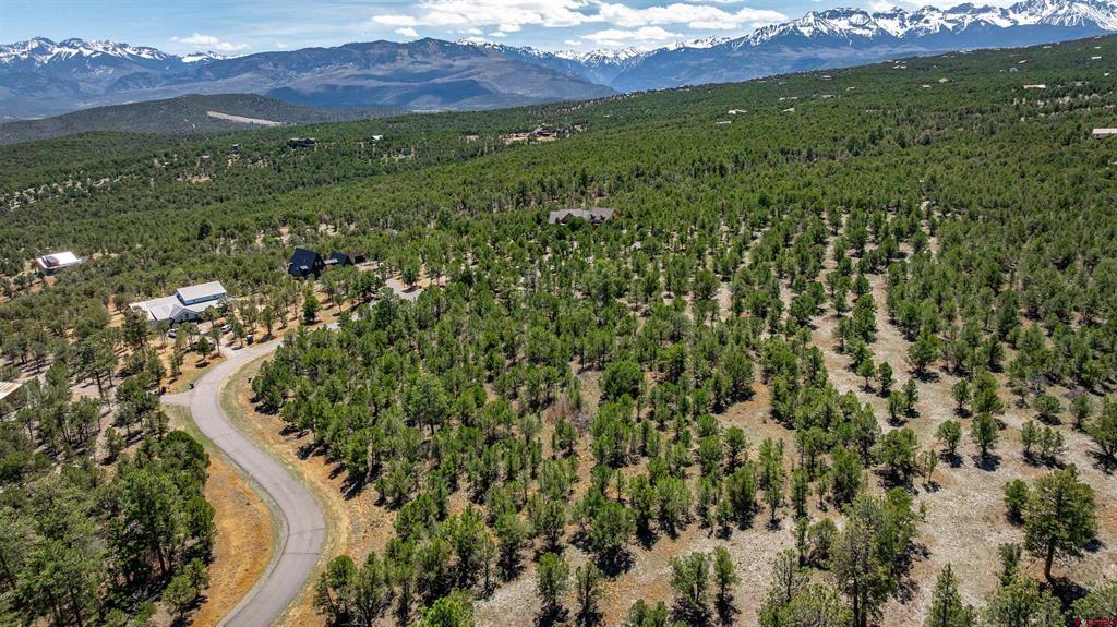 Lot 6 Waterview Court Ridgway CO 81432
