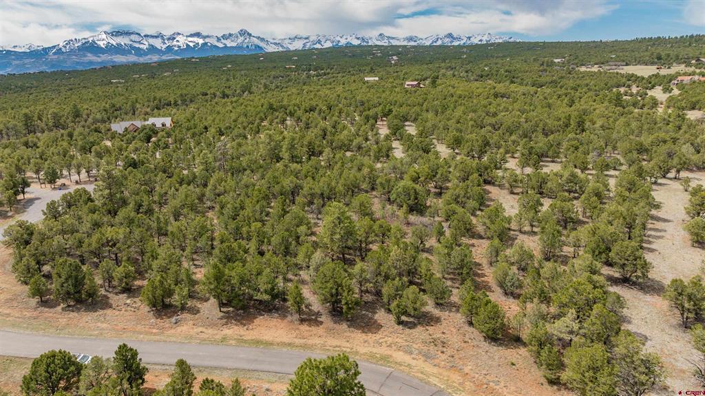 Lot 6 Waterview Court Ridgway CO 81432