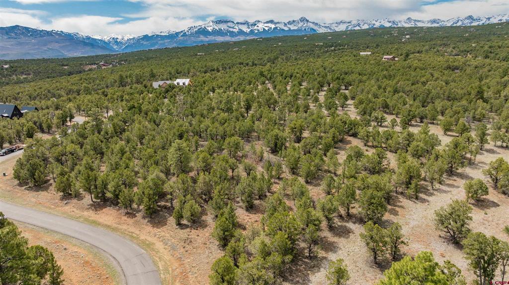 Lot 6 Waterview Court Ridgway CO 81432