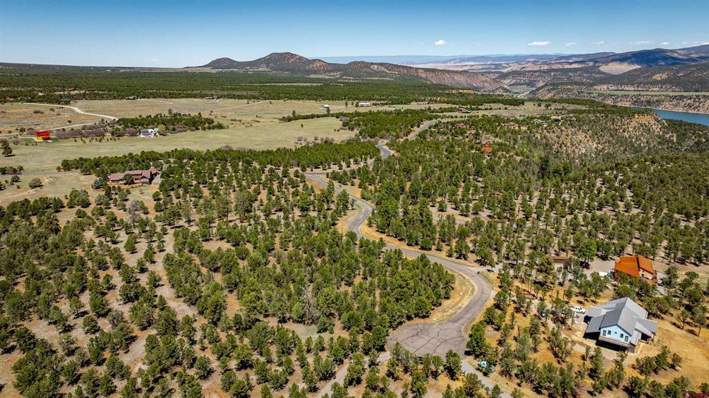 Lot 6 Waterview Court Ridgway CO 81432