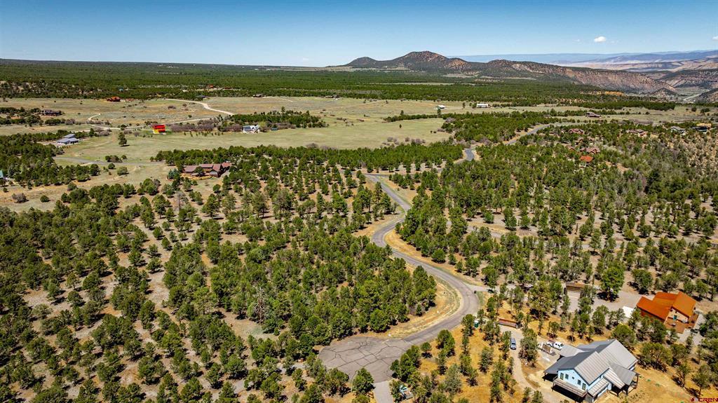 Lot 6 Waterview Court Ridgway CO 81432