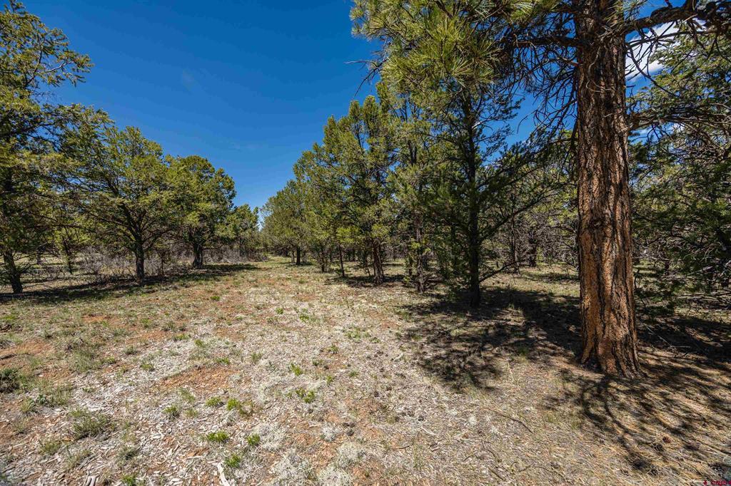 Lot 6 Waterview Court Ridgway CO 81432