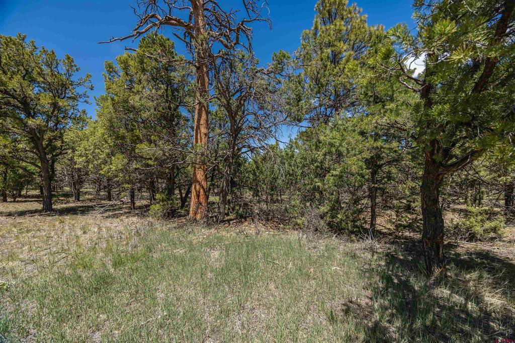 Lot 6 Waterview Court Ridgway CO 81432
