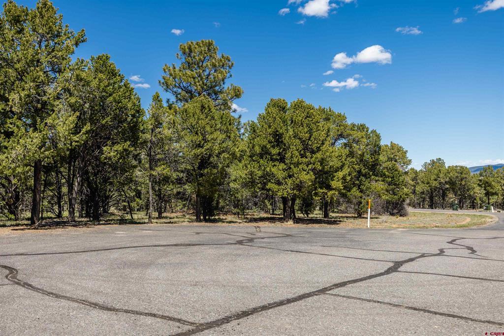 Lot 6 Waterview Court Ridgway CO 81432