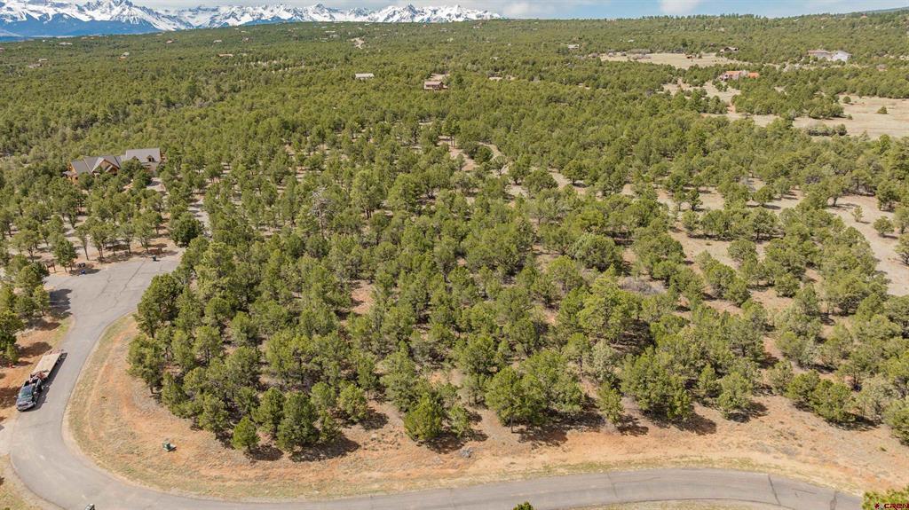 Lot 6 Waterview Court Ridgway CO 81432