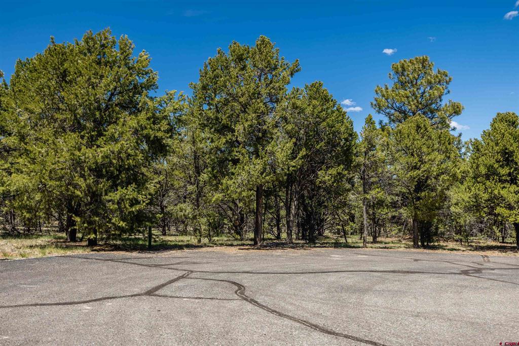 Lot 6 Waterview Court Ridgway CO 81432
