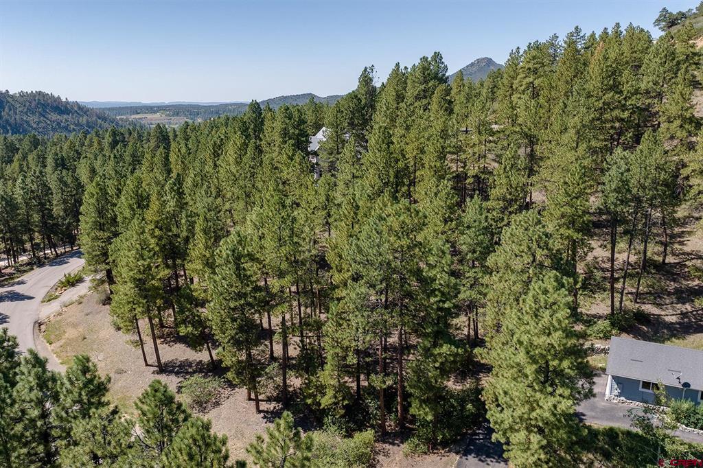 398 Iron King Durango CO 81301