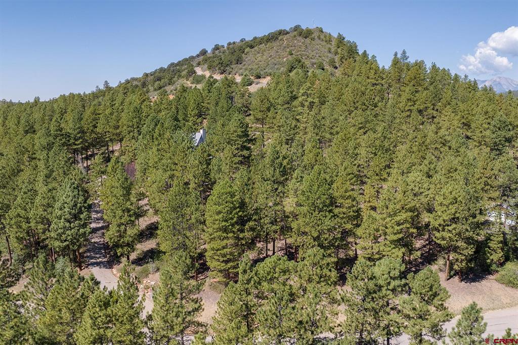 398 Iron King Durango CO 81301