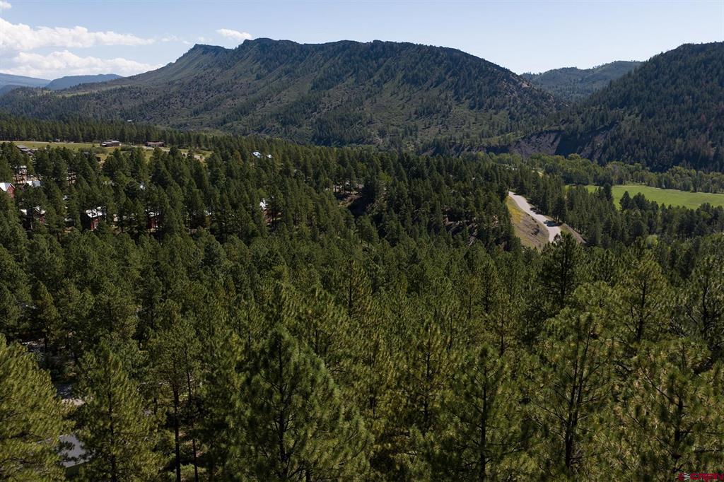 398 Iron King Durango CO 81301