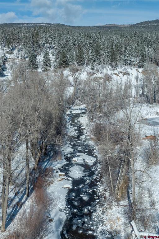 398 Iron King Durango CO 81301