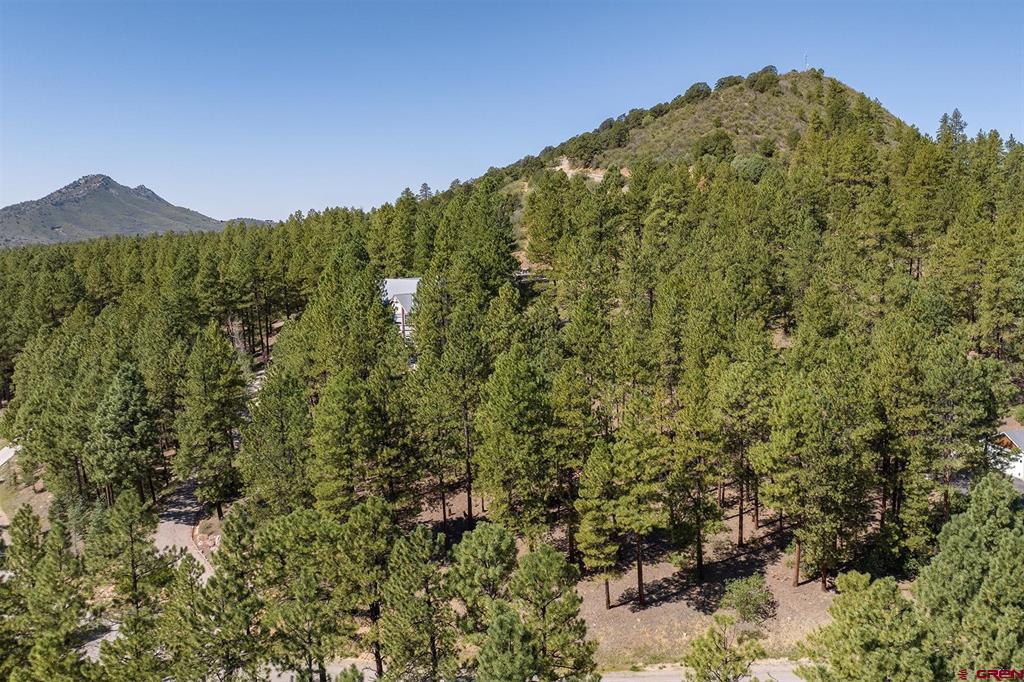 398 Iron King Durango CO 81301