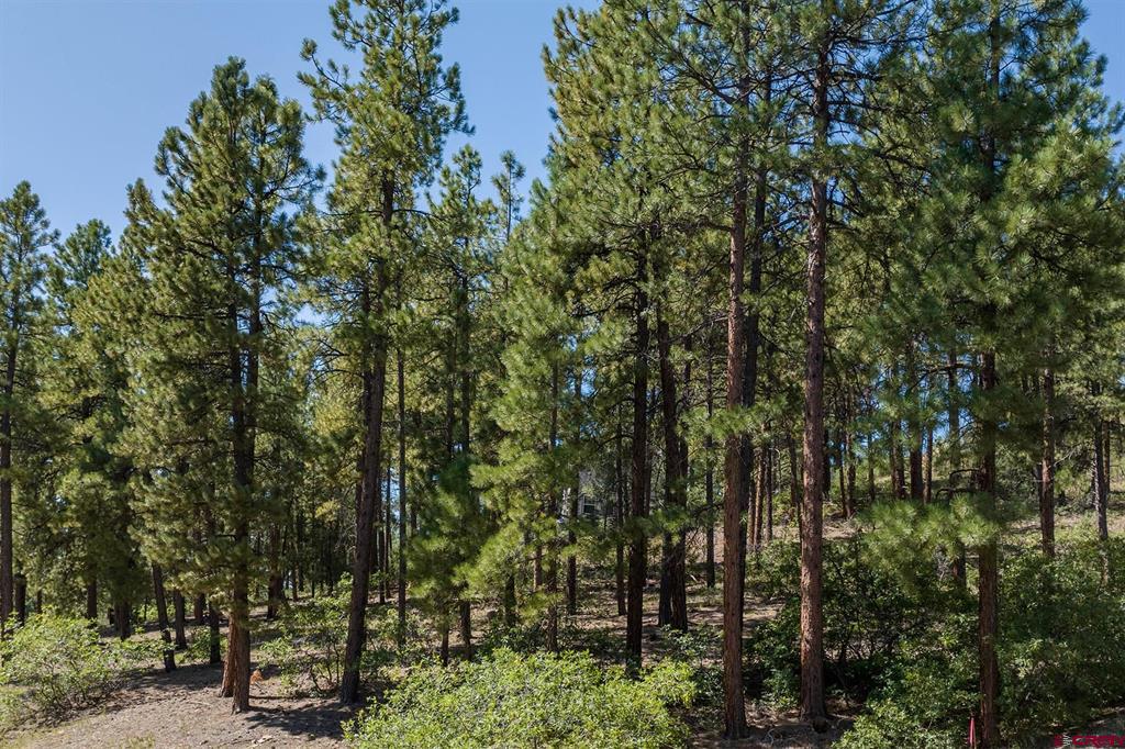 398 Iron King Durango CO 81301