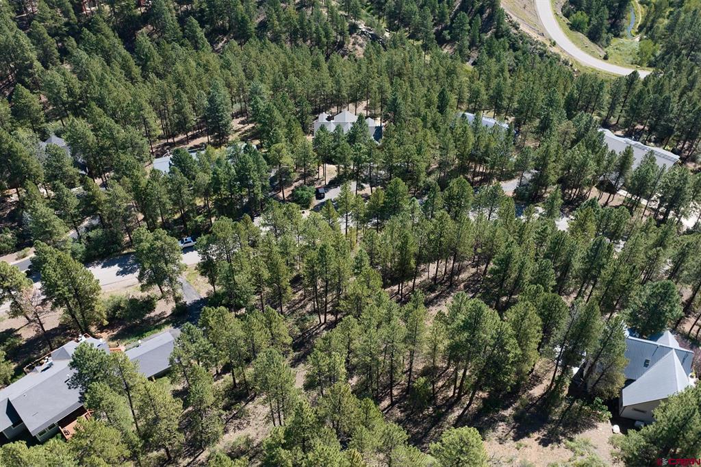 398 Iron King Durango CO 81301