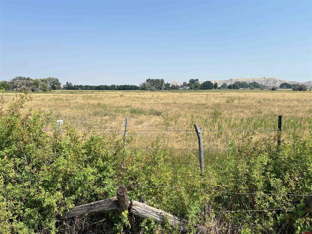 Trout Tbd Road Montrose CO 81403