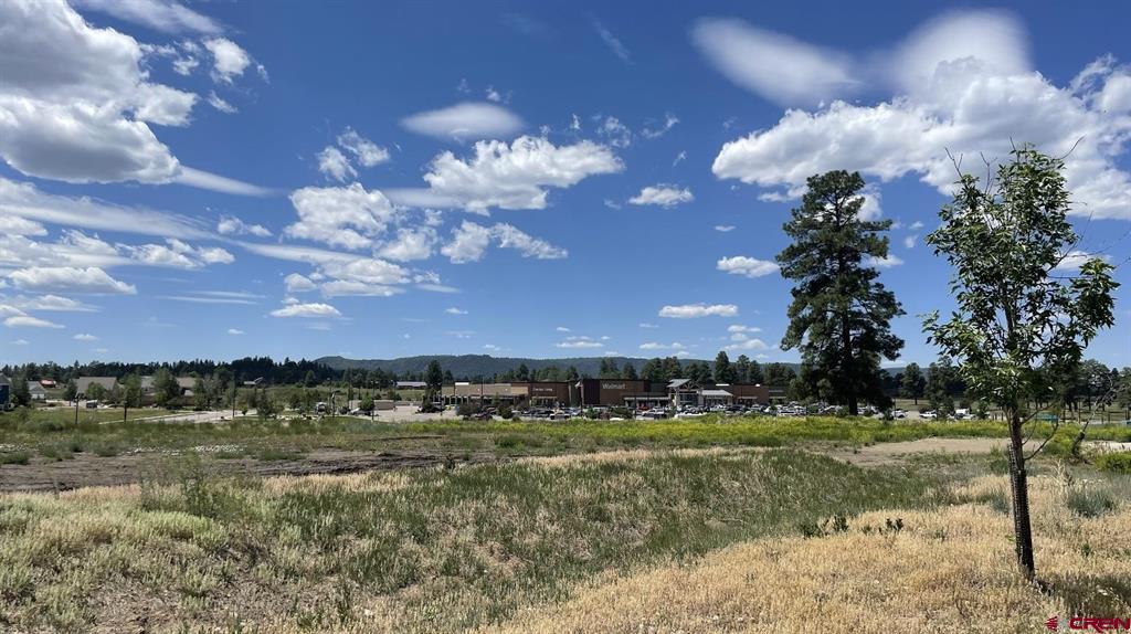 3101 Cornerstone Drive Pagosa Springs CO 81147