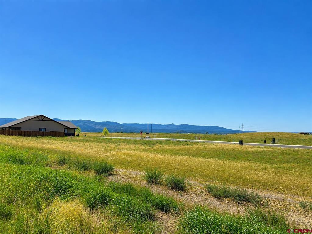 115 Wild Horse Drive Bayfield CO 81122