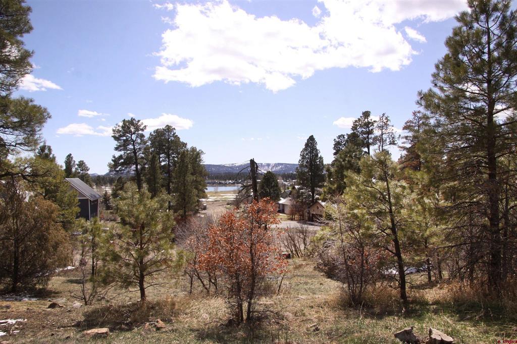 Pagosa Springs CO, 344 Caddy