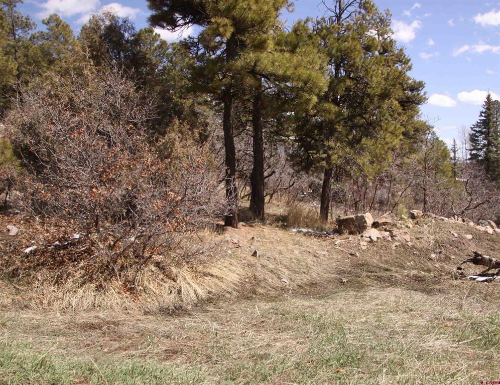 344 Caddy Circle Pagosa Springs CO 81147