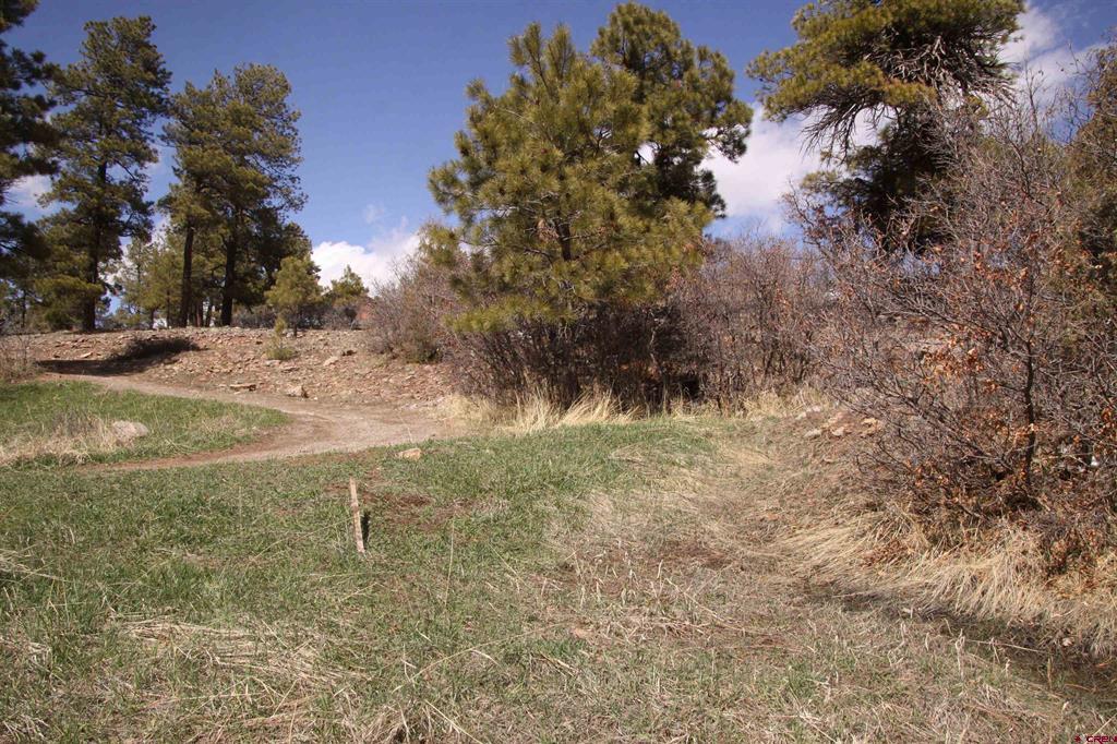 344 Caddy Circle Pagosa Springs CO 81147